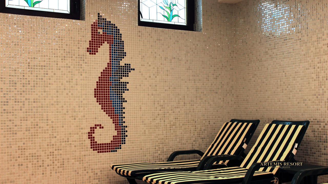 Artemis Resort Wellness Hotel Štúrovo Buitenkant foto